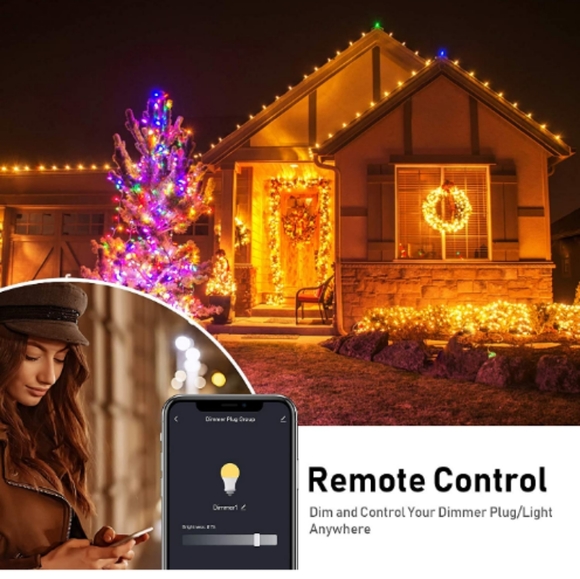Summer Nights String Lights Smart Dimmer Remote Programmable for Indoor Outdoor - Picture 5 of 7